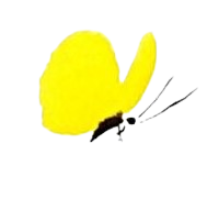 papillon jaune virevoltant
